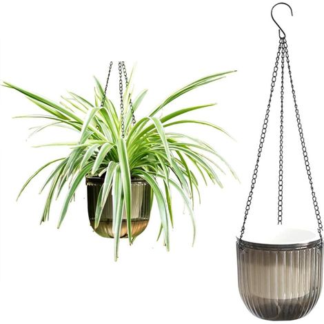 Bardusch-Lot de 2 Pots de Fleurs Suspendus Vintage,16.5cm Jardinieres Balcon - Pot Auto Arrosant Transparent avec Crochets pour Intérieur Extérieur, Table, Mur,Terrasse et Jardi Gris (1/4)