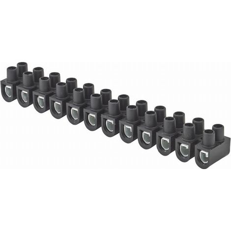 Terminal de conexión Nylbloc negro 10 mm².