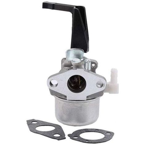 696065 Carburador para Briggs & Stratton 696065 697422 110402-0206-E1 (1/4)