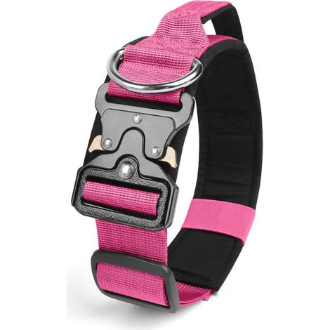 Collare M, circonferenza collo 38-48 cm, larghezza 3,8 cm, per un peso di 13-28 kg, collare per animali domestici, collare per cani, regolabile, collare per cani rinforzato Z (1/5)