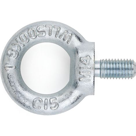 EV-M-Cáncamo mâle D-580. Zingué 33 (1/3)