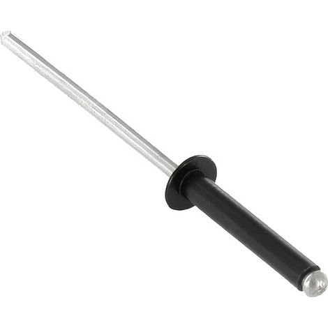 RIVET NOIR SAPHIR