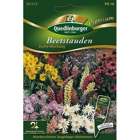 Quedlinburger Saatgut – Vivaces de massif en mélange coloré – Graines de fleurs, hauteur env. 80-100 cm, pour 1 à 2 m²