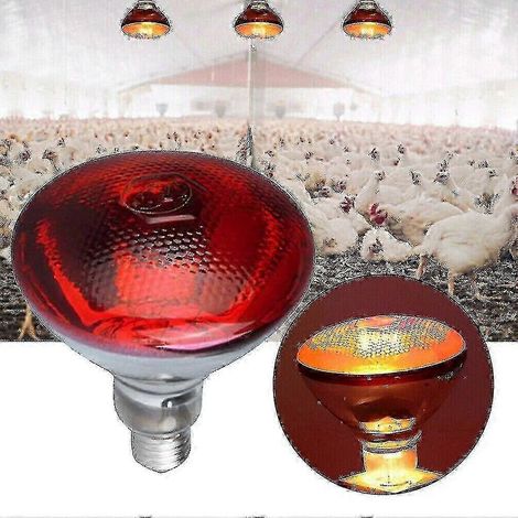 Lampe chauffante infrarouge pour volailles, incubation de chiots et porcelets, ampoule étanche (1/5)