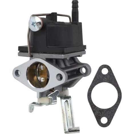 Carburateur Tecumseh OV691EA/TVT691 - Haute efficacité - Réf. 640221/5156/632745 (1/4)