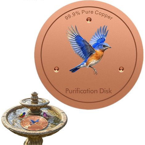 Disque métallique pour bain d'oiseaux, support nettoyage eau triple point 10 cm, sans danger animaux, pour fontaine ferme jardin pelouse terrasse (1/5)