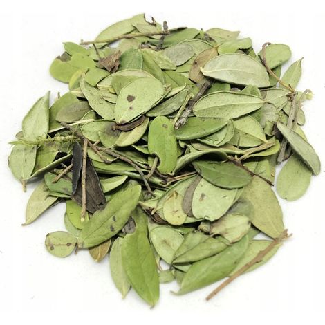 FOGLIE DI MIRTILLO INVOLONTARIO 1 KG NATURALI