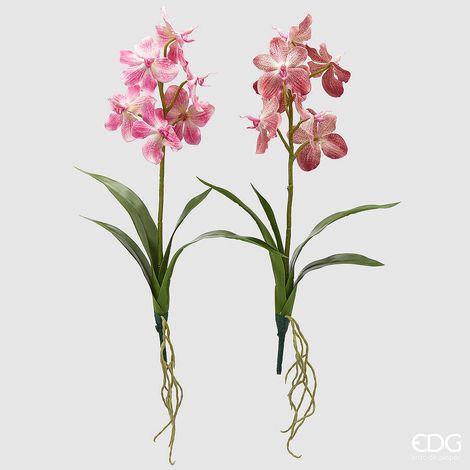 EDG Enzo De Gasperi Cespuglio Orchidea Vanda Artificiale con Foglio H 70 Cm Ass. Two Tone Pink 1 Pz (1/5)