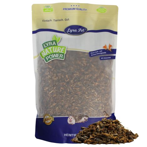 1 kg de Lyra Pet® grillons séchés