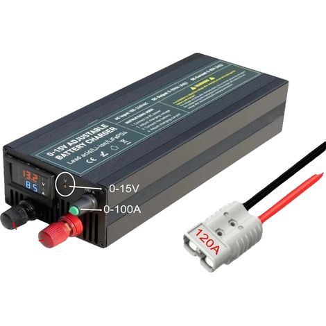 Chargeur de batterie lithium, courant réglable, compatibilité polyvalente, DT100A-A (1/2)