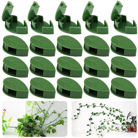 Lot de 20Clips muraux Invisibles en Forme de Feuille pour grimpantes, Supports réutilisables pour Pots, balcons, serres d'intérieur (1/4)