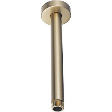 Fortifura Calvi Bras de douche rond 20cm Laiton brossé (1/3)