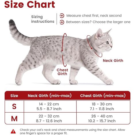 Cat Leash Harness (S, Red) Adjustable 145 cm Rope Lead for Kitten Cat Adult (1/2)
