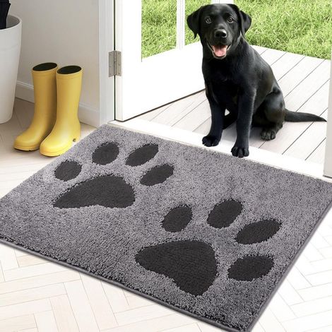 Tapis d'intérieur antidérapant et lavable en machine, doux et absorbant, idéal pour les chiens, les entrées, les portes et les couloirs. Dimensions : 50 x 80 cm, gris clair. (1/5)
