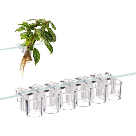 Ein Set aus 6 Hängehalterungen für Hydrokulturpflanzen, geeignet für Aquarien. (1/4)