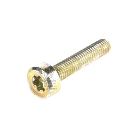 Vis Torx 27 M5 x 25 pour tronçonneuse Stihl 021 MS210