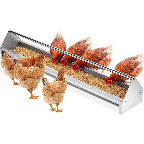 Gamelle trapézoïdale pour volaille en acier galvanisé avec entretoise transversale et trous de drainage, poules, canards, oies, dindes (1/5)