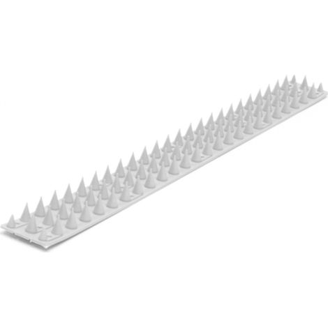 Pinchos Gaun antiaves