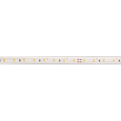 Ruban LED LEDY 230 protégé IP65 230V 8W/m 60LED/m 4000K 650lm/m longueur 50m ARIC 55295 (1/4)