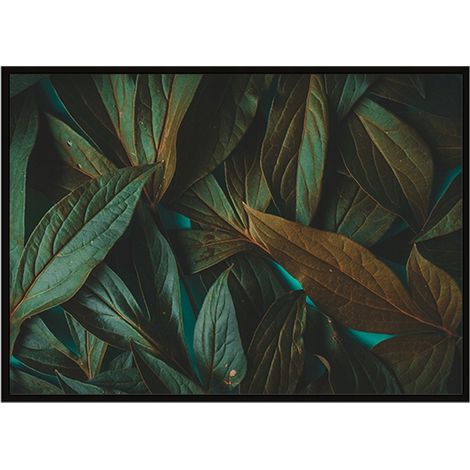 QUADRO INCORNICIATO 53x73 cm Foglie P1125 (1/3)