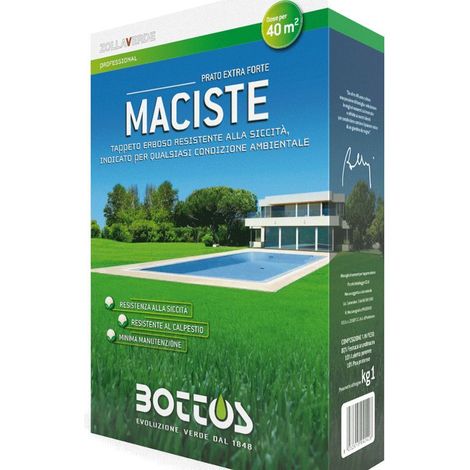 Bottos Sementi Prato Maciste 1 kg - Festuca Arundinacea prato inglese