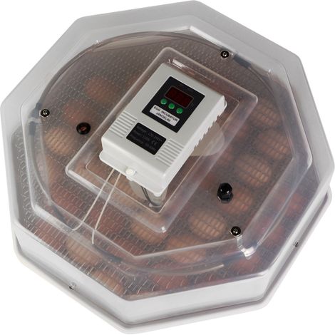Incubadora Kruger Meier Prolexor 60 con termostato automático (1/5)