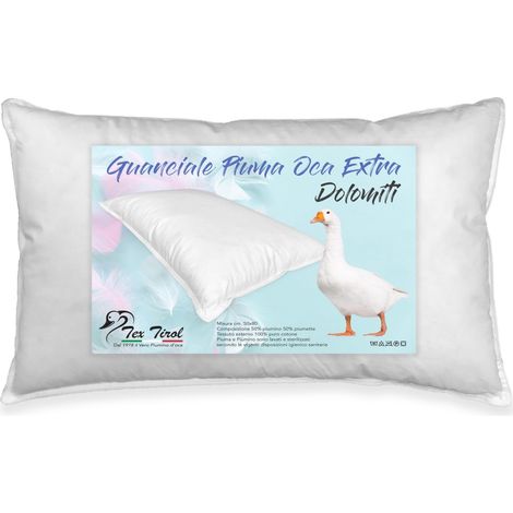 OREILLER, COUSSIN, PLUME DE DUVET, D'OIE DOLOMITES TEX TIROL ©