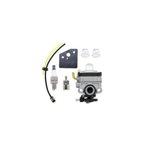 FENOPLASTICAKits de carburateur, filtres à carburant et kits de tuyaux pour BHX2500, BHX2500V, EBH252U, EBH253U et ER2650LX, comprenant des bougies d'allumage, des tuyaux d'huile, des billes de démarr (1/4)