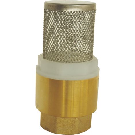 Clapet crépine universel Femelle 3/4" axe plastique (1/3)