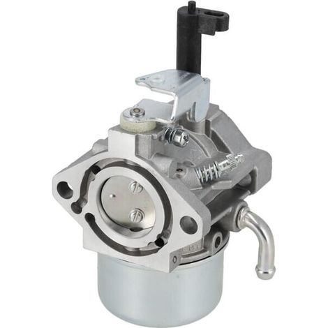 Carburateur BRIGGS & STRATTON 712467 (1/2)
