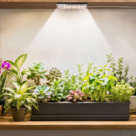 Lampe de croissance LED adhésive sous meuble avec minuterie, spectre complet, design en forme de rondelle imitant la lumière du soleil, pour plantes d'intérieur et étagères, blanc chaud