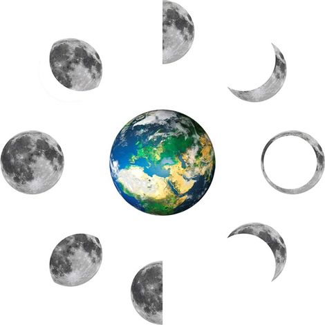 Stickers muraux fluorescents phosphorescents SUPVOX (1/4)