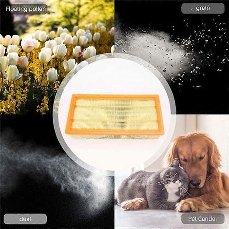 Filtre pour aspirateurs Karcher NT65/2 Ap Eco NT72/2 Eco Tc NT75/2 Ap Me Tc (1/5)