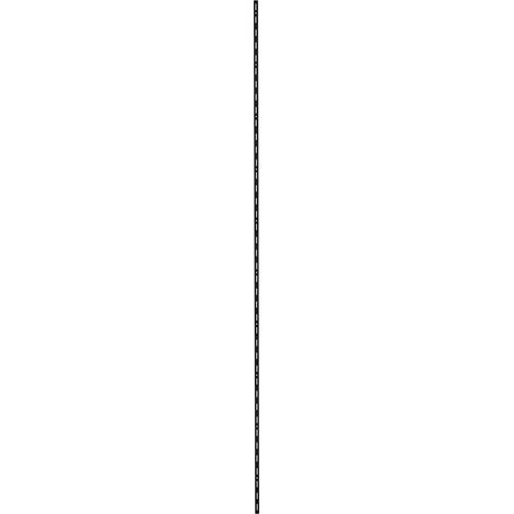 TrendLine Wandschiene 1-reihig schwarz 200 x 1,5 cm