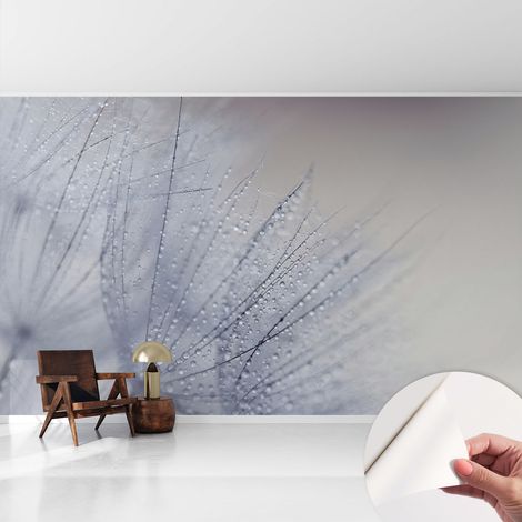 Carta da parati autoadesiva - impermeabile - murale da parete - decorazione murale - Puffball bagnato 416x254 cm (1/5)
