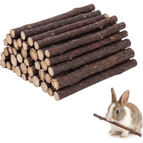 100 g Rabbit Toy Apple Wood Chew Sticks, 2 x 50 g Natural Apple Branches (10 cm) for Dwarf Rabbit, Hamster, Guinea Pig, Chinchilla, Molar Accessory and Dental Care (1/5)