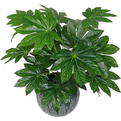 60cm Artificial Japanese Aralia Plant Evergreen (1/3)