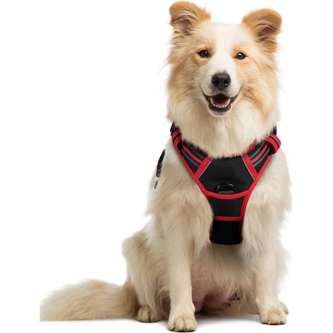 rabbitgoo Harnais Chien Harnais pour Chiens avec Poignée Harnais pour Chien Noir et Rouge, M (1/5)