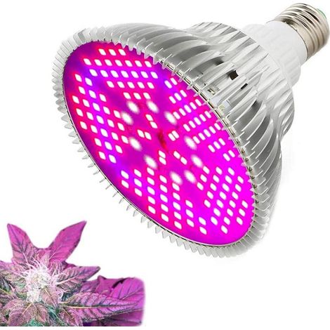 Ampoule de Croissance, Lampe à Spectre Complet pour Plantes d'intérieur, Serre, Jardin, légumes, semis, Fleur, succulente, hydroponique (1/5)