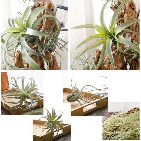 Nuevas plantas artificiales de piña hechas de ratán, 6 modelos diferentes, plantas verdes de aspecto realista, decoración de pared para bodas, hogar u oficina, 1 pieza (1/5)