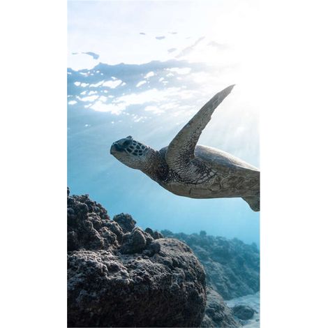 Panneau mural douche en alu-composite VIPANEL - Inspiration Nature Décor Tortue - Finition Brillant - 150x255cm (1/5)