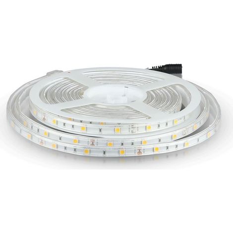 STRISCIA SMD5050 30 LED/M BIANCO FREDDO IP65 6000K - Luce FREDDA (1/5)
