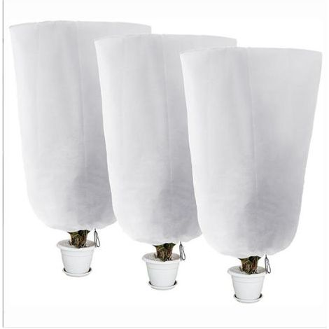 Voile Hivernage Plante Exterieur, Lot de 2 Housse d'hivernage pour Plantes en Pot, 80 x 120cm Contre Le Froid et Le Gel, 60g/m² bâche Protection Arbustes Couverture (1/5)
