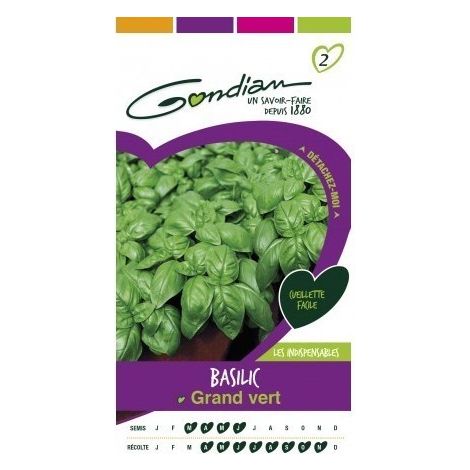 Gondian - Basilic Grand Vert