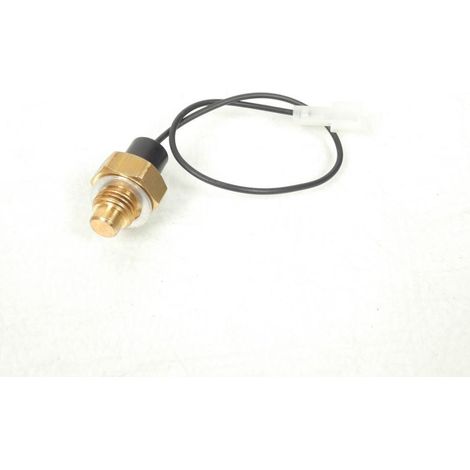 Temperaturfühler derbi / piaggio original für Motorrad aprilia 50 (1/3)