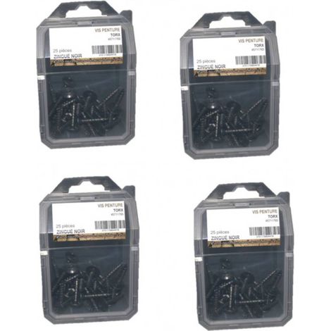 4 Coques de 25 Vis Penture Torx 6 x 40 mm - Zingué Noir - D-Work
