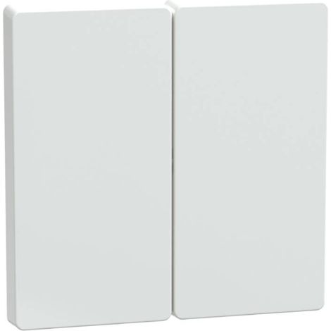Schneider Artico MTN3400-6035 D-Life double clé MTN3400-6035 D-Life (1/5)