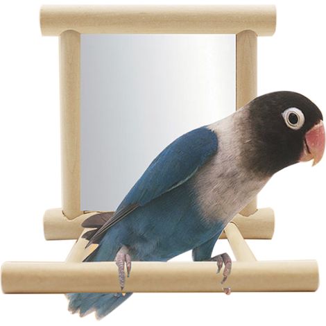 Perchoir en bois avec miroir pour perroquet, accessoire décoratif pour oiseaux domestiques