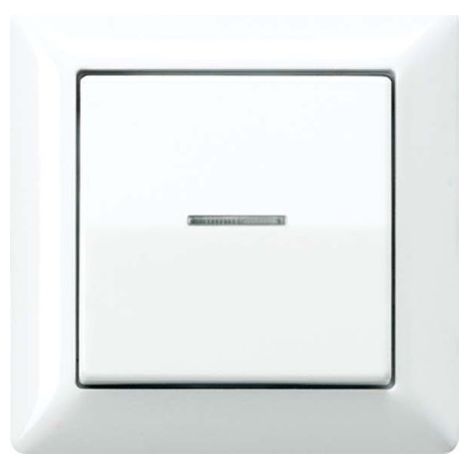 Cubierta de interruptor Jung as 590 ko5 ww IP44 Duroplast