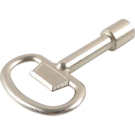 Clé supplémentaire spécifique pour nos cadenas pompier à serrure triangle 9 mm (1/5)